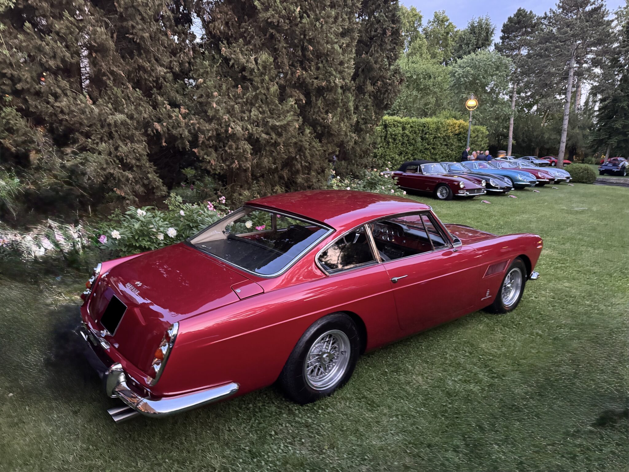 Cavallino covered plates 2 (1)